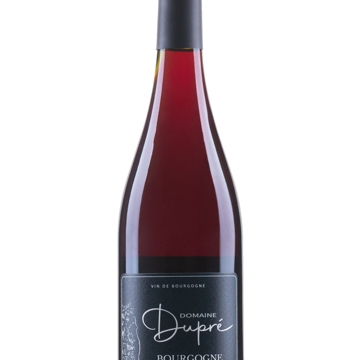 Pinot Noir - Bourgogne 2023 AC