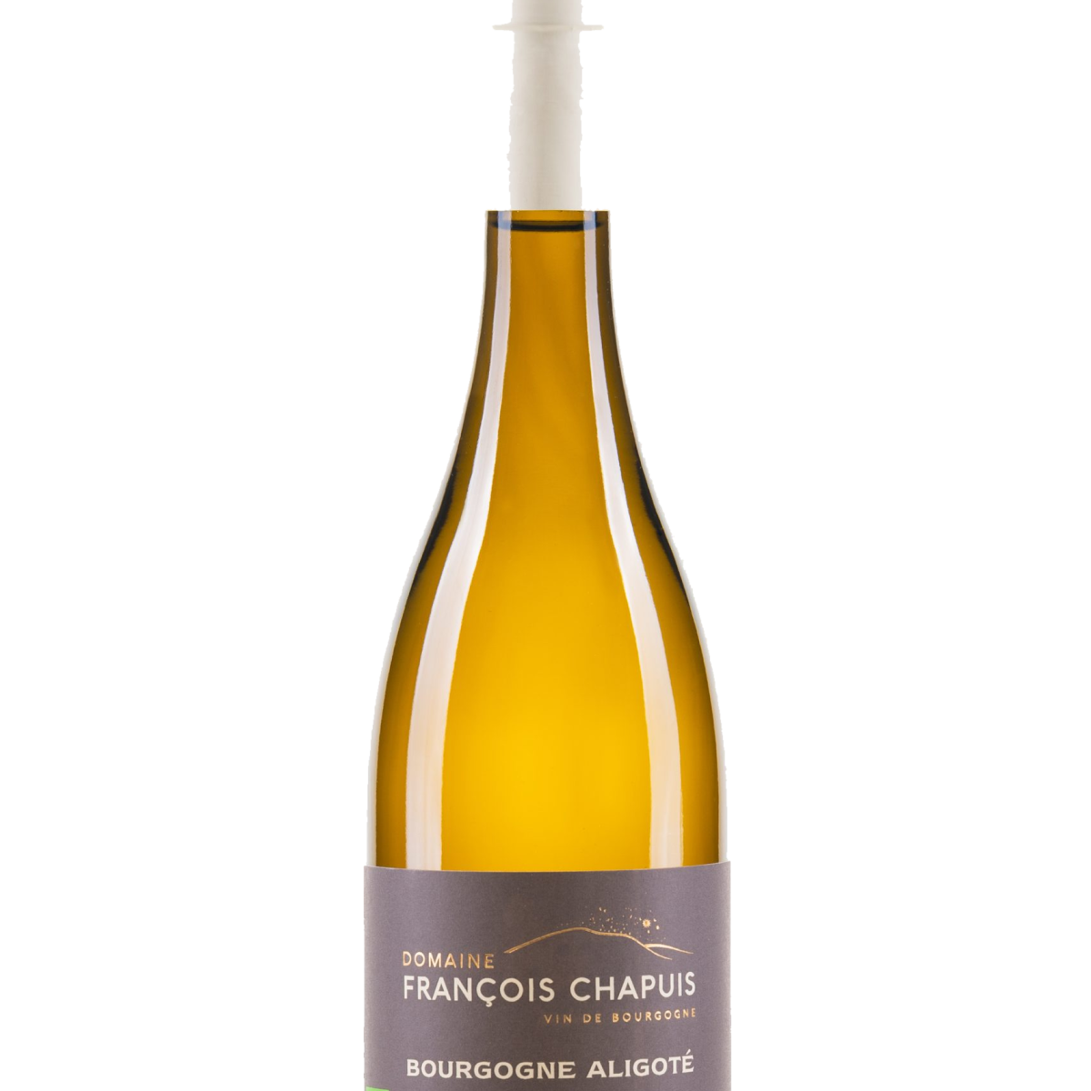 Aligoté Bourgogne 2023 AOC