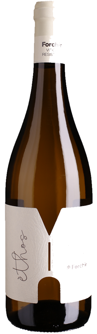 Forchir – Èthos Bianco Forchir - Èthos Bianco – Bild 1