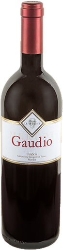 Merlot Barrique Umbria Gaudio 2016 IGT