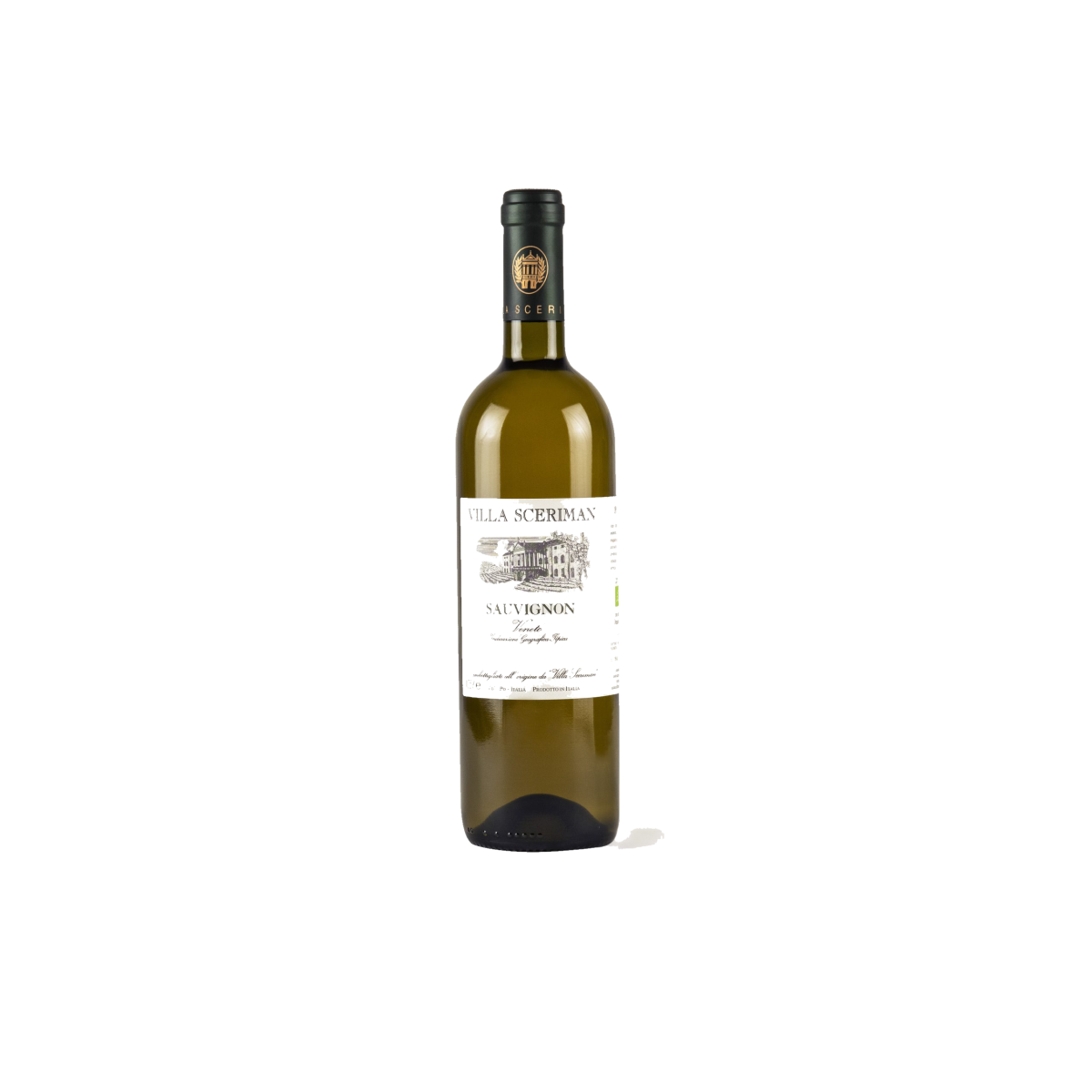 Sauvignon Colli Euganei 2023 IGT