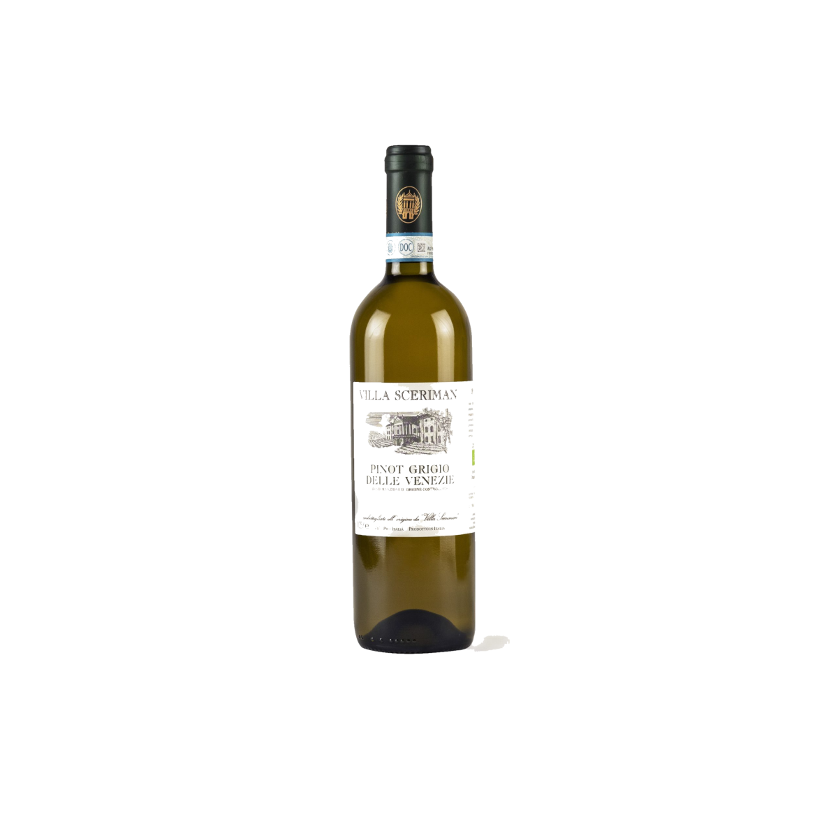 Pinot Grigio Colli Euganei 2023 DOC