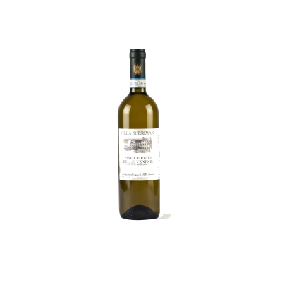 Pinot Grigio Colli Euganei 2023 Doc Pinot Grigio Colli Euganei 2023 Doc – Bild 1