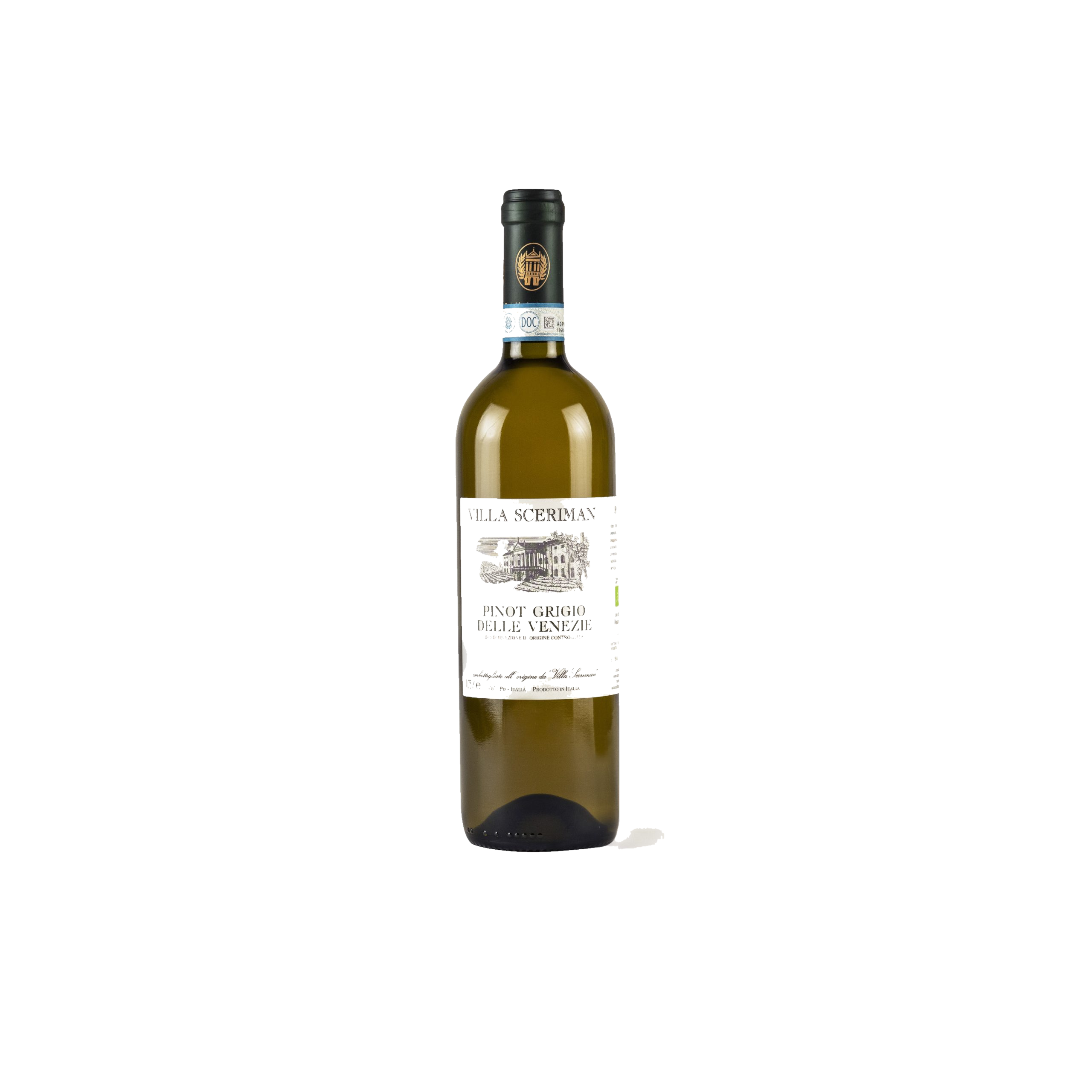 Pinot Grigio Colli Euganei 2023 Doc Pinot Grigio Colli Euganei 2023 Doc – Bild 1