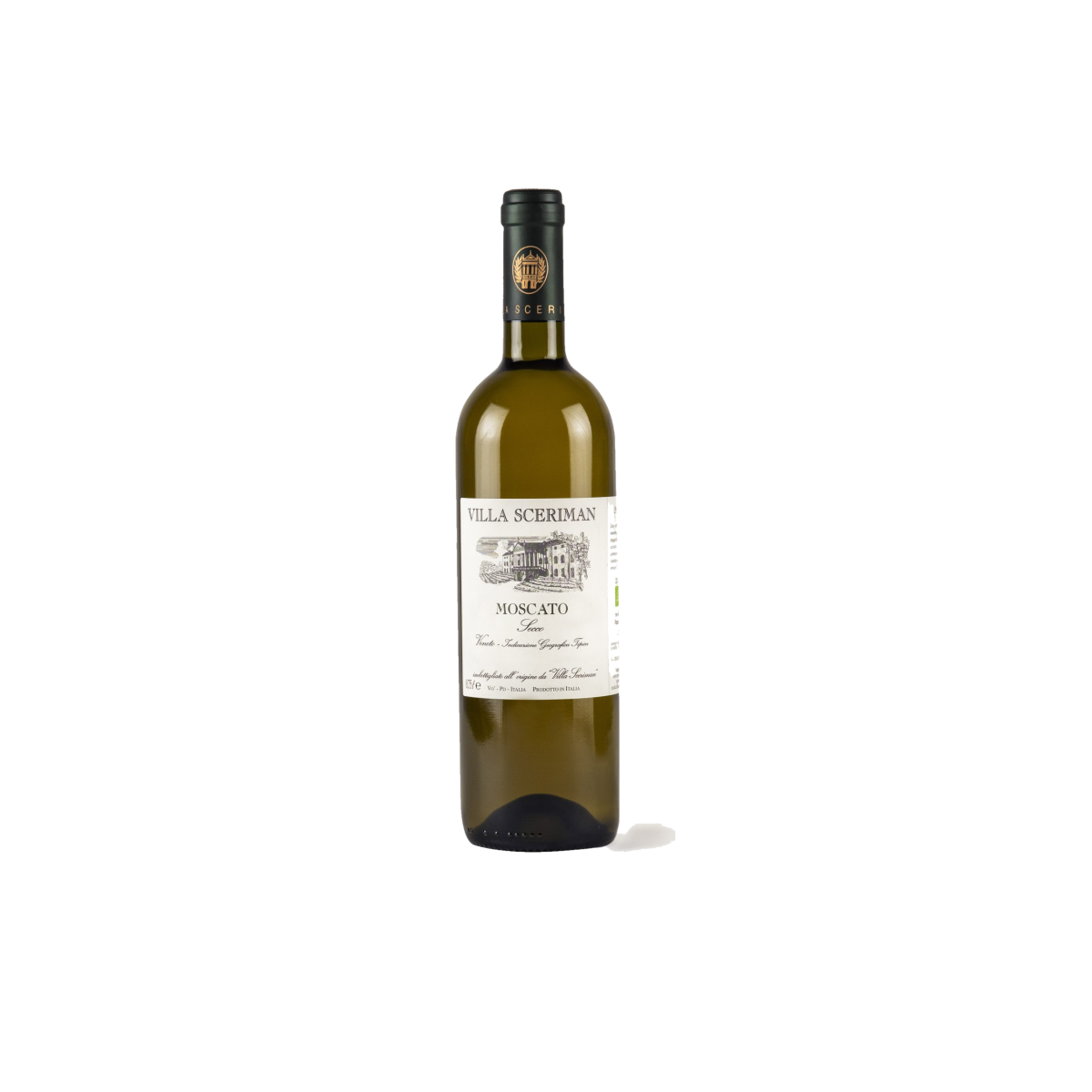 Moscato Secco Veneto 2024