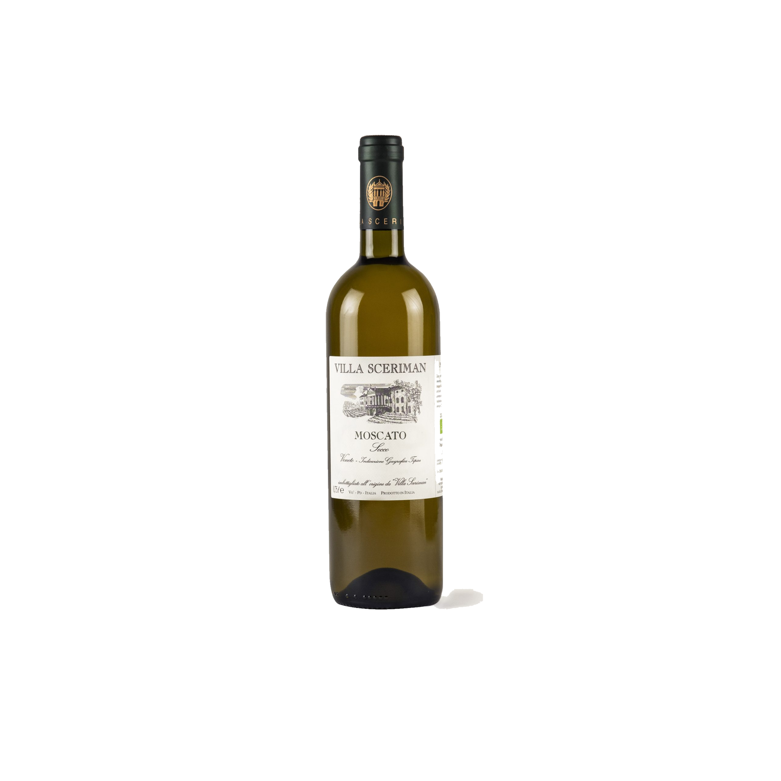 Moscato Secco Veneto 2024 Moscato Secco Veneto 2024 – Bild 1