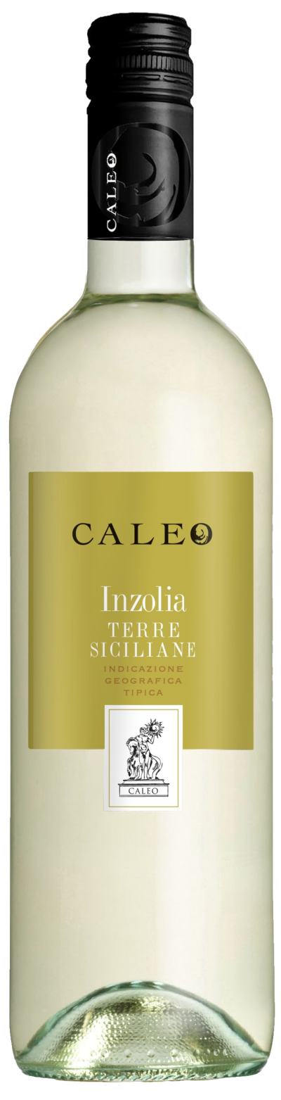 Inzolia Terre Siciliane Caleo 2023 Igt Inzolia Terre Siciliane Caleo 2023 Igt – Bild 1