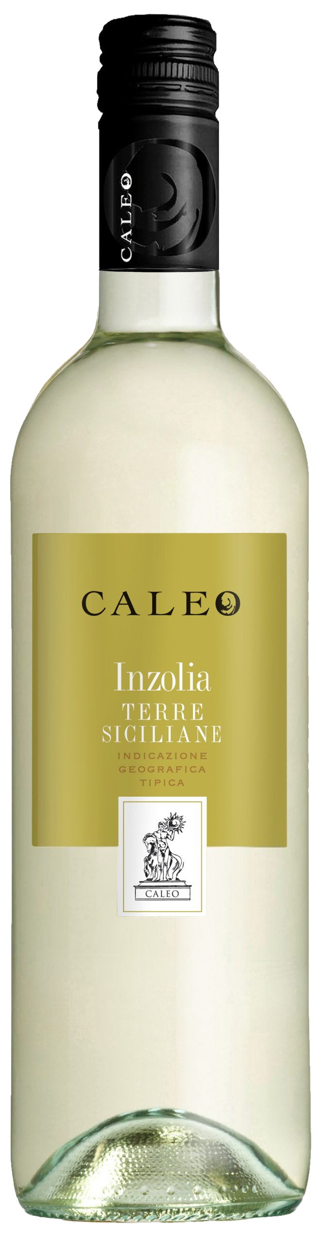 Inzolia Terre Siciliane Caleo 2023 Igt Inzolia Terre Siciliane Caleo 2023 Igt – Bild 1