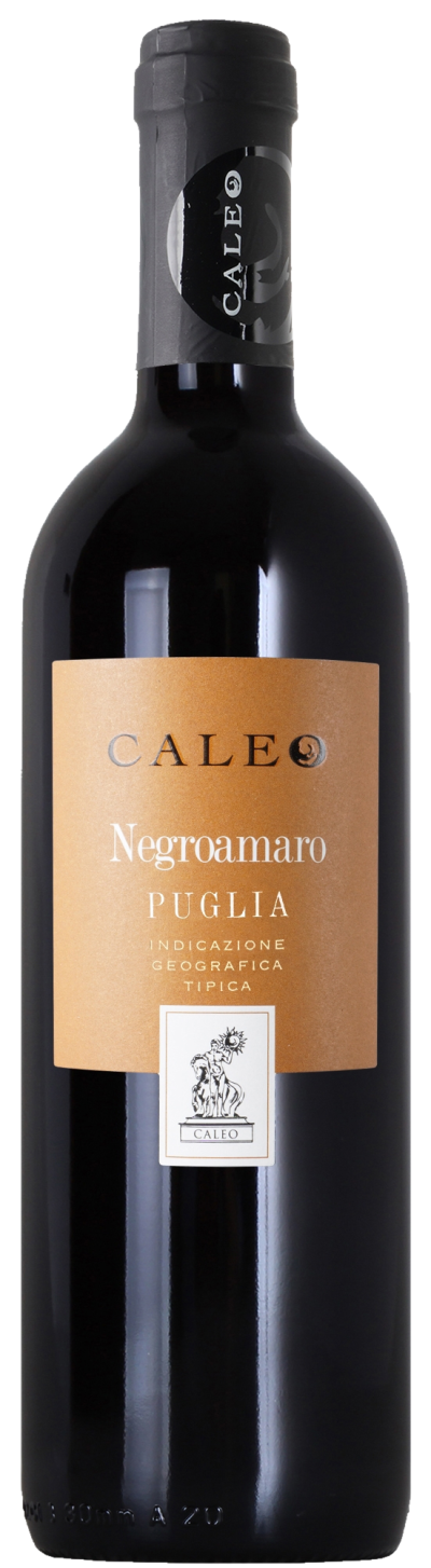 Negroamaro Salento 2022 Igt – Bild 1