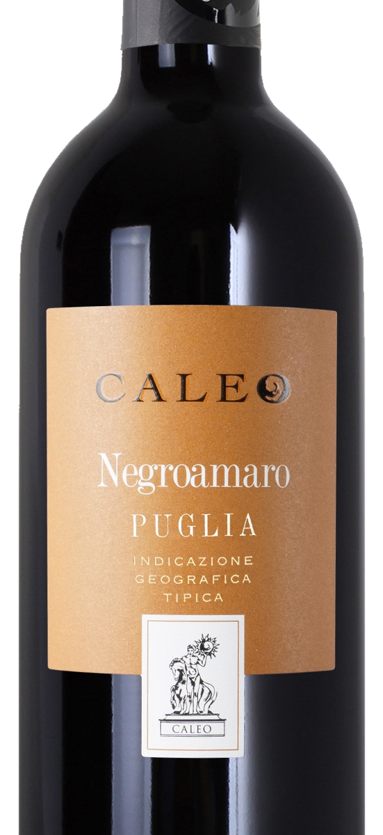 Negroamaro Salento 2022 IGT