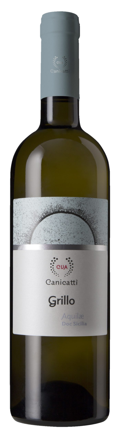 Grillo Sicilia Aquilae 2023 - Canicatti Grillo Sicilia Aquilae 2023 - Canicatti – Bild 1