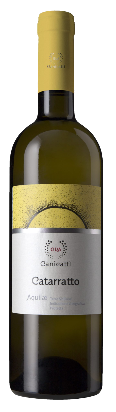 Catarratto Terre Siciliane Aquilae 2022 - Canicatti Catarratto Terre Siciliane Aquilae 2022 - Canicatti – Bild 1