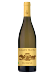 Falerio Vigna Palazzi DOC - Saladini Pilastri