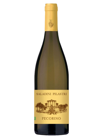 Falerio Vigna Palazzi Doc - Saladini Pilastri – Bild 1