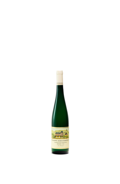 Riesling Les Terrasses 2023 – Bild 1