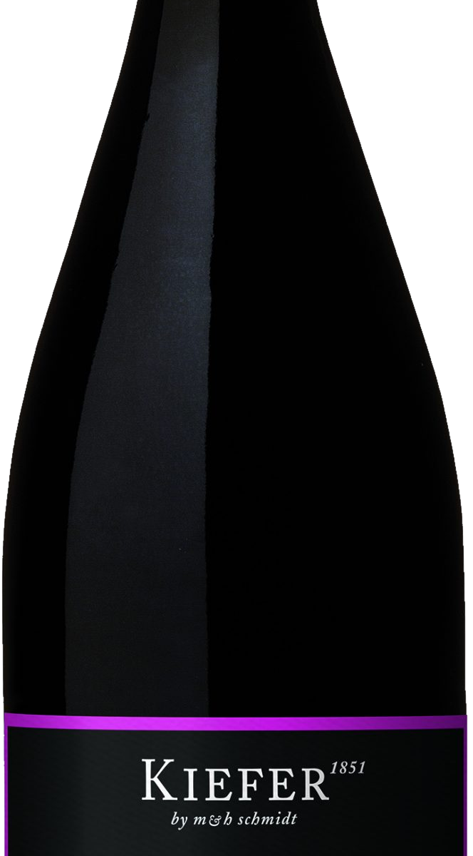 Spätburgunder EIN LTR. 2020 - Weingut Friedrich Kiefer
