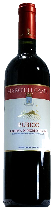 Lacrima di Moro d'Alba Rubico 2023 DOC