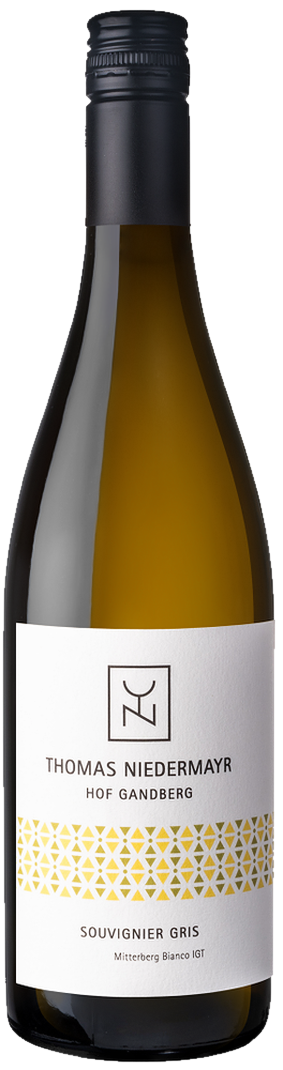Thomas Niedermayr – Sauvignier Gris Thomas Niedermayr - Sauvignier Gris – Bild 1