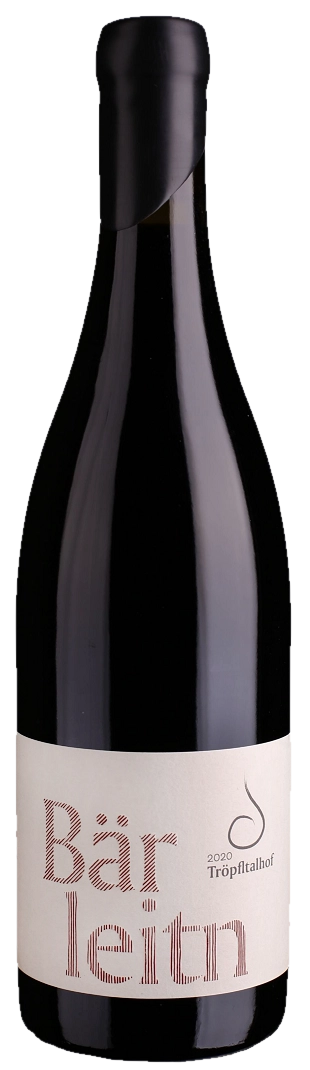 Tröpfltalhof – Cabernet Sauvignon &Amp;Quot;Bärleitn Anphora&Amp;Quot; Tröpfltalhof - Cabernet Sauvignon &Amp;Quot;Bärleitn Anphora&Amp;Quot; – Bild 1