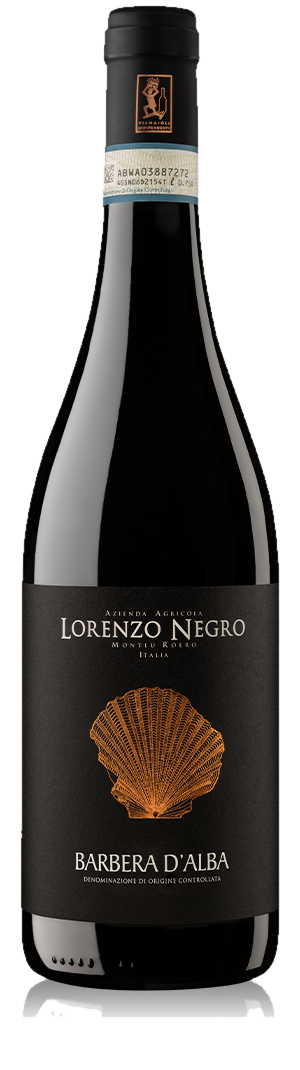 Barbera d'Alba 2021 DOC