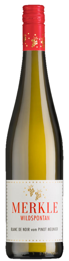 Riesling Steillage 2023, Weingut Merkle
