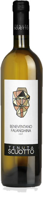 Falanghina Campania 2023 Igp Falanghina Campania 2023 Igp – Bild 1