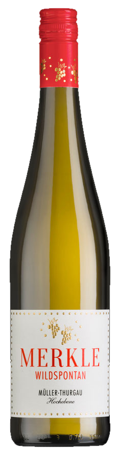 Müller Thurgau Hochebene 2023, Weingut Merkle Müller Thurgau Hochebene 2023, Weingut Merkle – Bild 1