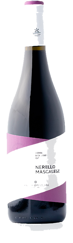 Nerello Mascalese Terre Siciliane Molino A Vento 2024 Igp Nerello Mascalese Terre Siciliane Molino A Vento 2024 Igp – Bild 1