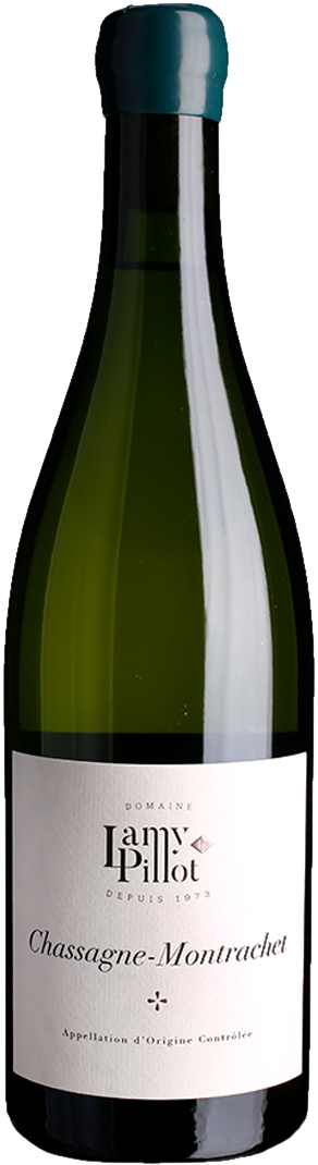 Lamy Pillot - Chassagne-Montrachet Blanc 1Er Cru Morgeot Lamy Pillot - Chassagne-Montrachet Blanc 1Er Cru Morgeot – Bild 1