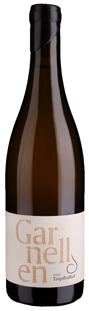 Tröpfltalhof - Sauvignon Blanc &Amp;Quot;Garnellen Anphora&Amp;Quot; Tröpfltalhof - Sauvignon Blanc &Amp;Quot;Garnellen Anphora&Amp;Quot; – Bild 1